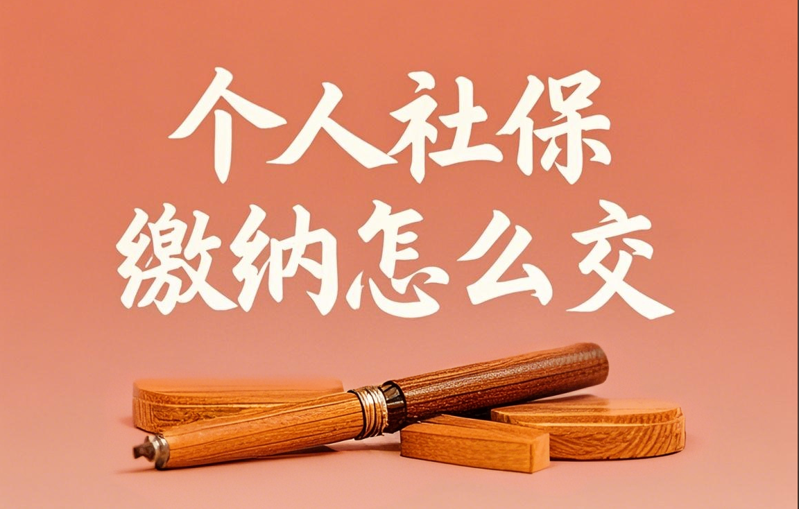 个人社保缴纳怎么交.png