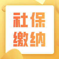 2025年个人社保缴纳全攻略：流程、材料与注意事项
