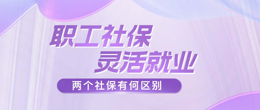 上海社保全解析:职工社保 vs 灵活就业社保,区别在哪?一次讲清楚!